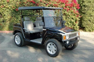 affordable golf cart rental, golf cart rent virginia golf cart rental
